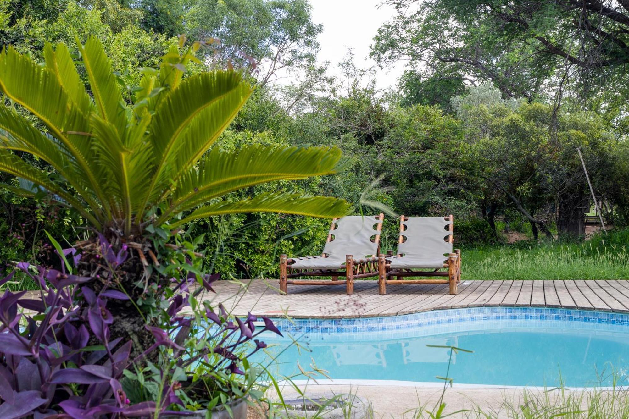 Willa Tangala Safari Camp Thornybush Game Reserve Zewnętrze zdjęcie